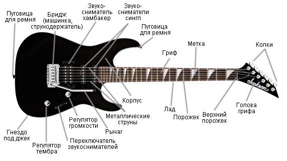 Регулировка грифа гитары